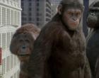 猩球崛起3影评如何 人与猿的战争终于落下帷幕